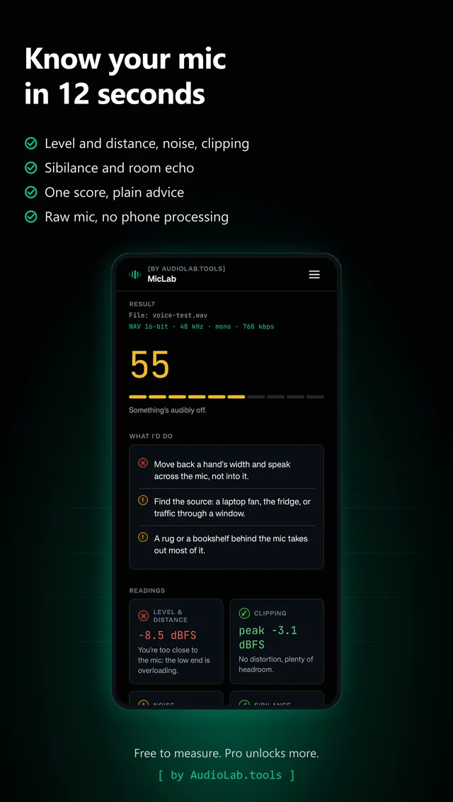 MicLab result screen: one score out of 100, five checks and plain advice